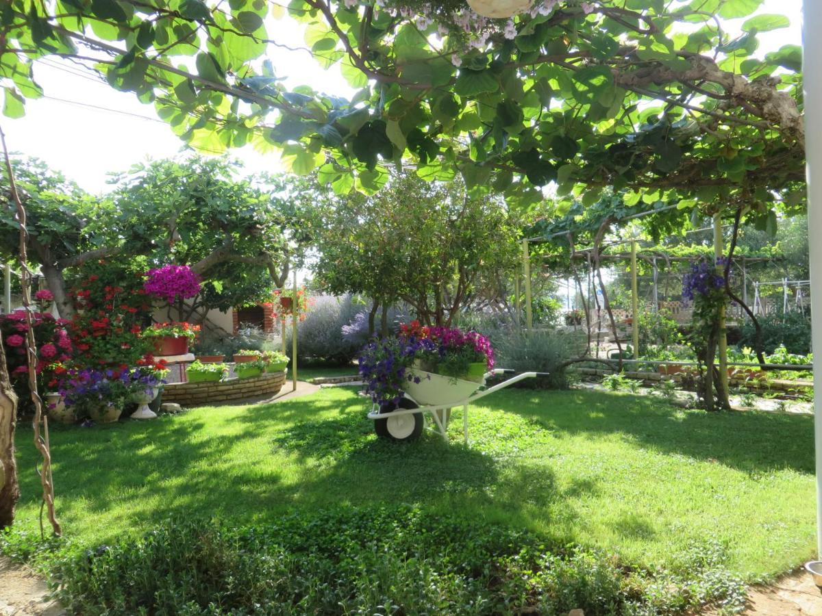 Beach Apartments Roza - The Garden Apartment Biograd Na Moru Exterior photo